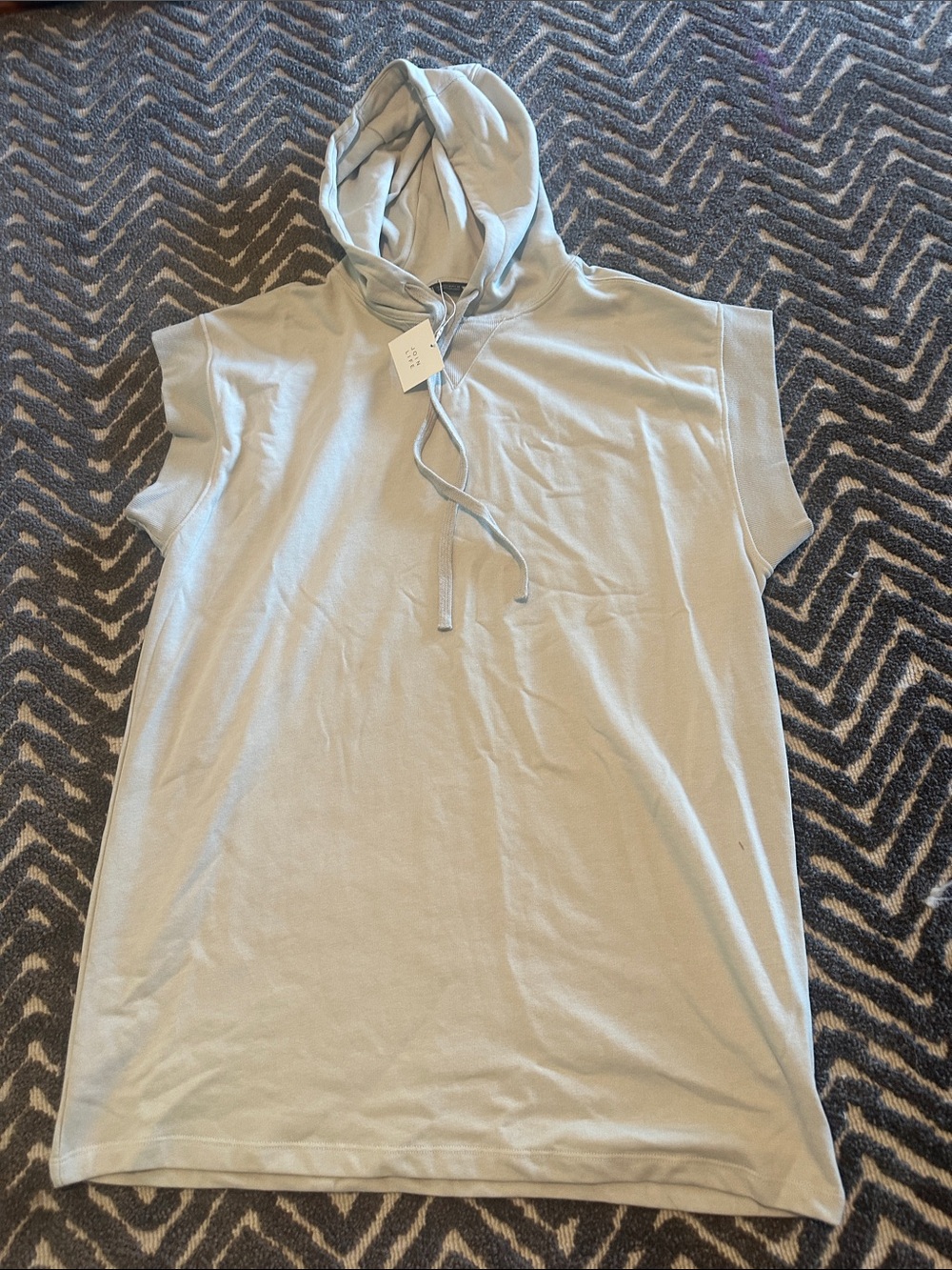 ZARA NWT Hooded Sleeveless dress
